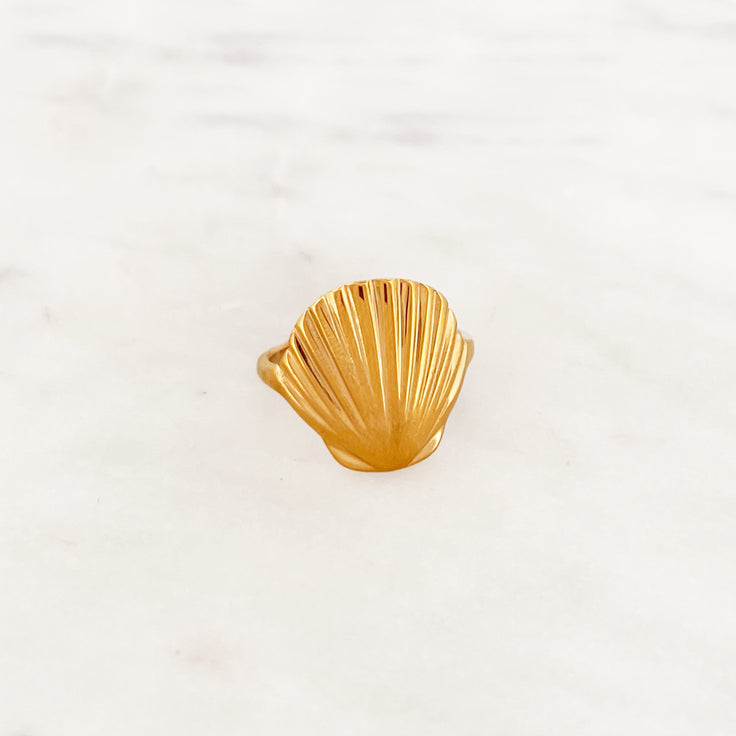 Muschelring
