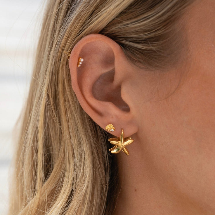 Starfish Hoop Set - ByNouck Jewelry